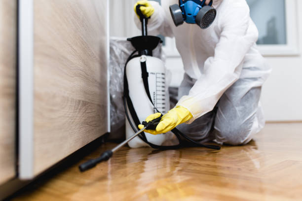 Best Pest Control Near Me  in Edenton, NC