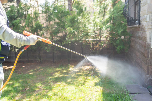Best Wasp Removal Services  in Edenton, NC